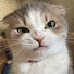 wNEcZ5safGw-channel-avatar-Darthos