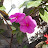 @nusaratfatma2563's avatar