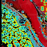 -vaWcGC7Ib4-channel-avatar-ArtbyFarz
