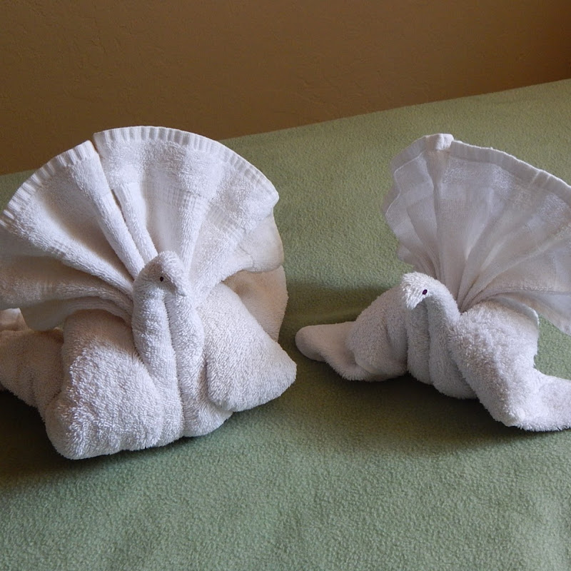 Towel folding tutorial icon