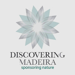 Discovering Madeira