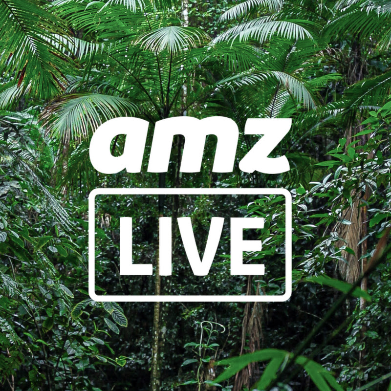 AmzLive thumbnail