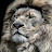 @ramrock9441's avatar