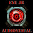 AudiovisualEYEJR