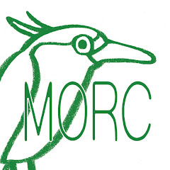 もりっくチャンネル