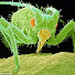 cWBsDk6JGTg-channel-avatar-Sixth Form Biology