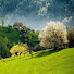 NRpvebQyDCE-channel-avatar-Liberi Prin Adevar