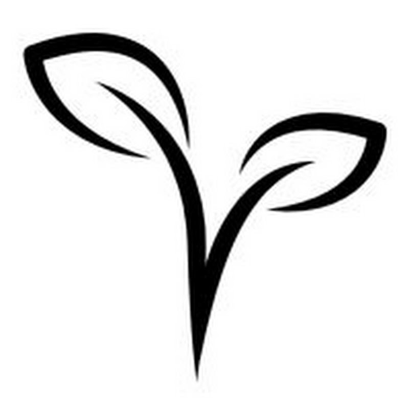 Seize the Veg