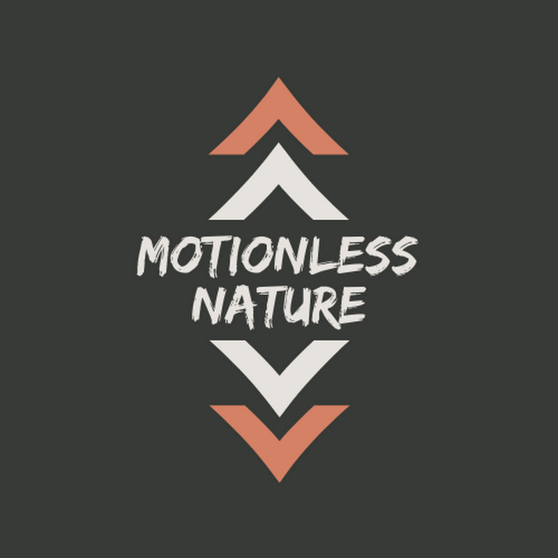 Motionless Nature