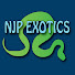 MmUgTGz6P3M-channel-avatar-NJP Exotics