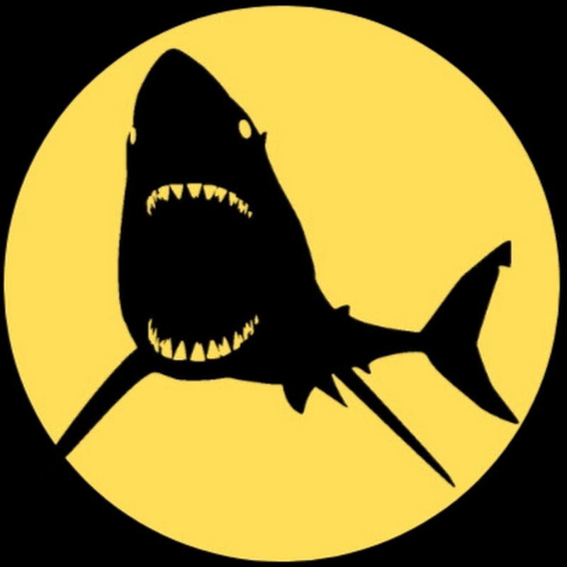 The Black Shark
