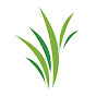 Grassroots Church logo