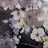 @sujae5993