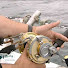 0elR0PtsuKw-channel-avatar-TheFishingChannel