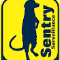 Sentry Surveillance logo