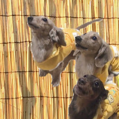 nanaチャンネル