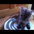YDNYdEty8WY-channel-avatar-M S