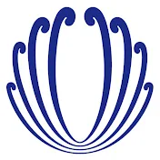 菊星