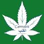 Cannabis القنب