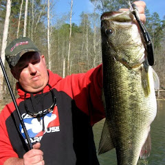 Bull Shad Swimbaits