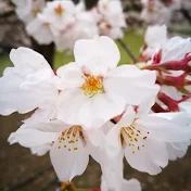 森山剛志