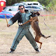 dogtrainingismypassion
