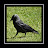 @FredoTheCrow