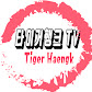 타이거행크TV