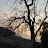 الصورة الرمزية لـ @sultanalblooshi3139