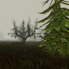 Swankest CZ net worth