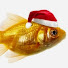 xbQfLafVFso-channel-avatar-pausefisk88
