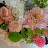 @floristjeonginus6801