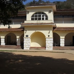 José Cupertino
