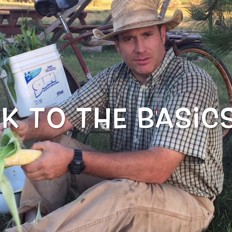 Back to the Basics 101 icon