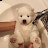 @아몬드프레이크