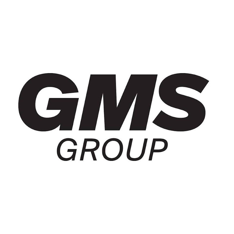 THE GMS GROUP