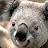 @melangkoh4184's avatar