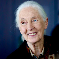 Jane Goodall Institute (Singapore)