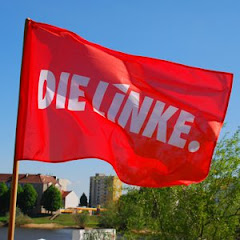 DIE LINKE. Frankfurt (Oder)