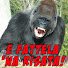 g5xchQgFlbk-channel-avatar-Comici Italiani