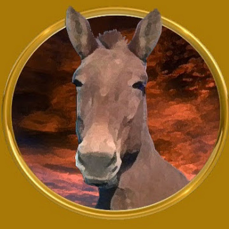 Luck Films icon