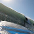 1aFZi80nRxs-channel-avatar-#Freedom4Surfers