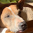 @tommac5411 Avatar