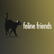 Feline Friends Academy