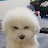 @네츄럴본꼰대