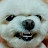 @qlcsk-nr7is