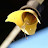 @microbug3487's avatar