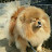 @김선영-p3s3o