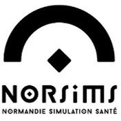 * NorSimS *