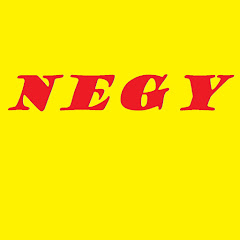 Negy channel logo